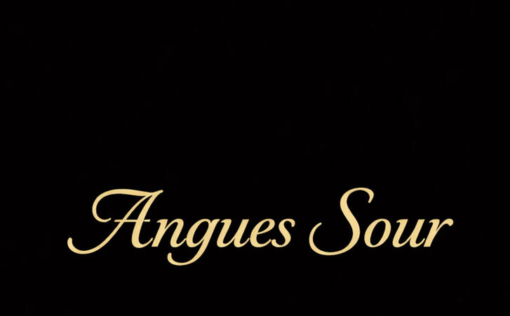 Angues Logo Angues; Diamond Your Taste