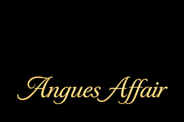 Angues Logo Angues; Diamond Your Taste