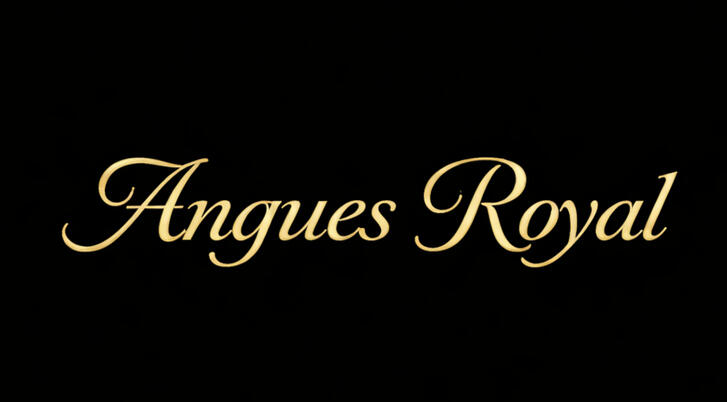 Angues Logo Angues; Diamond Your Taste