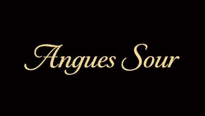 Angues Logo Angues; Diamond Your Taste